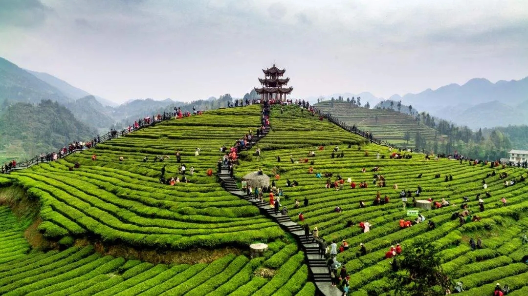 鄉(xiāng)鎮(zhèn)發(fā)展休閑旅游產(chǎn)業(yè)關注點在哪里？