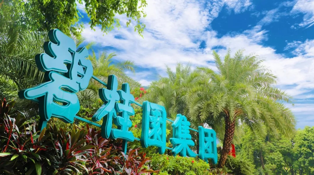 探路新發(fā)展模式，碧桂園實(shí)現(xiàn)良性循環(huán)