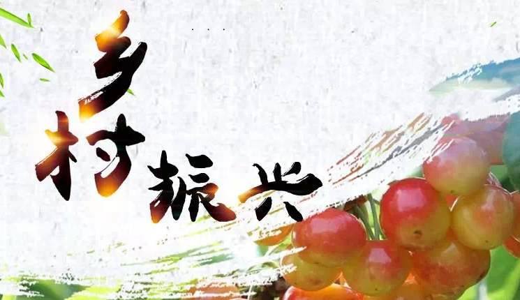鄉村振興的15個切入點