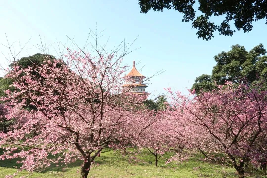 8個(gè)問(wèn)題不解決，鄉(xiāng)村振興無(wú)從談起