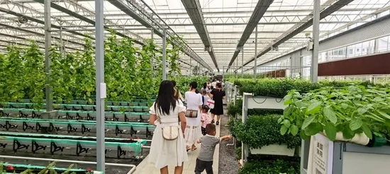 十大類一百多個創意主題農業園區，看看哪一種適合您