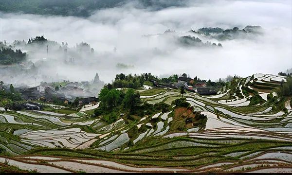 如何讓農業文化遺產賦能鄉村振興？