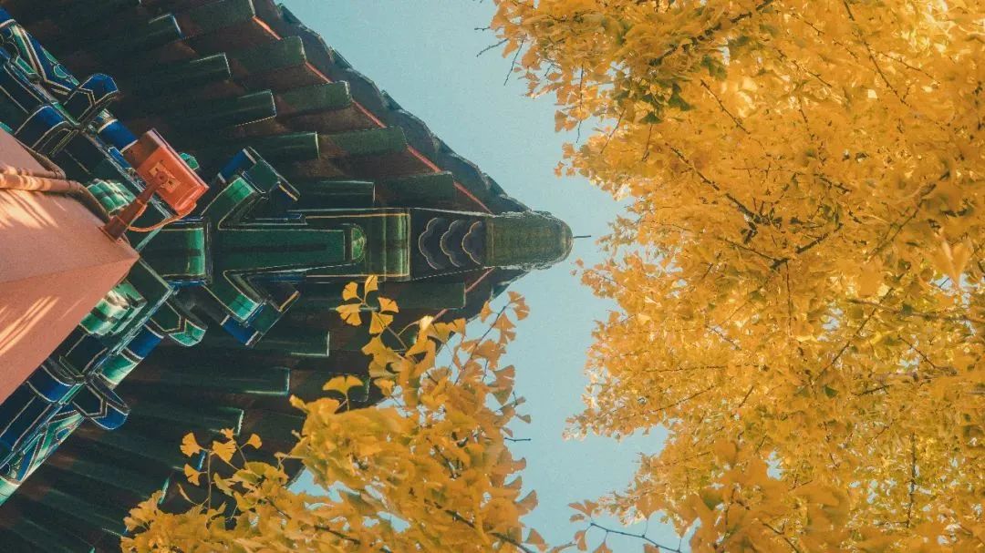 鄉(xiāng)村民宿開發(fā)經(jīng)營(yíng)的機(jī)遇、陷阱及贏利點(diǎn)