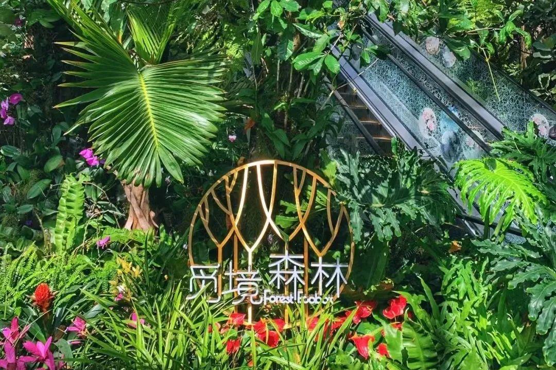 如何在商場里打造一座"植物園"？