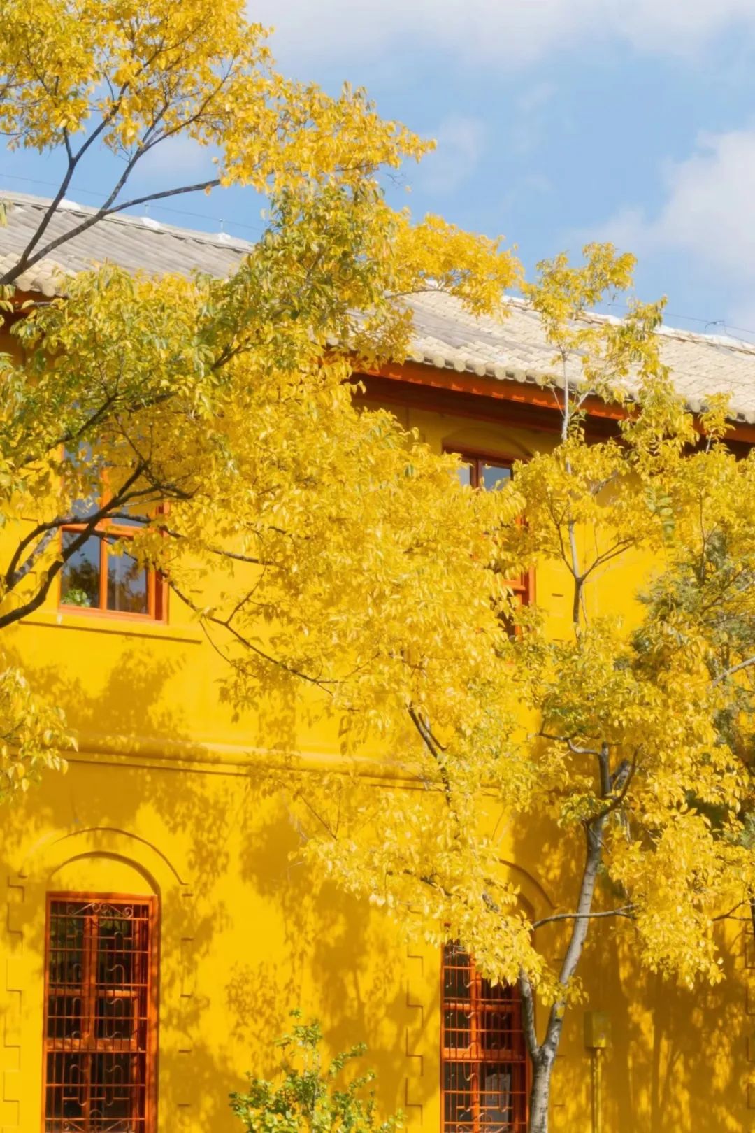 “盛唐密盒”爆火，曲江文旅將打造國產(chǎn)版環(huán)球影城？