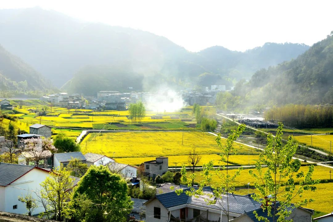 鄉(xiāng)村旅游的下半場出路在何方？