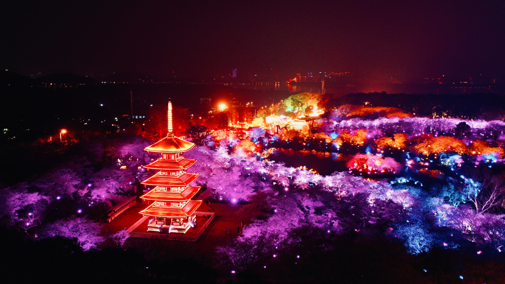 “賞花經濟”持續升溫，催生城市文旅沉浸新趨向
