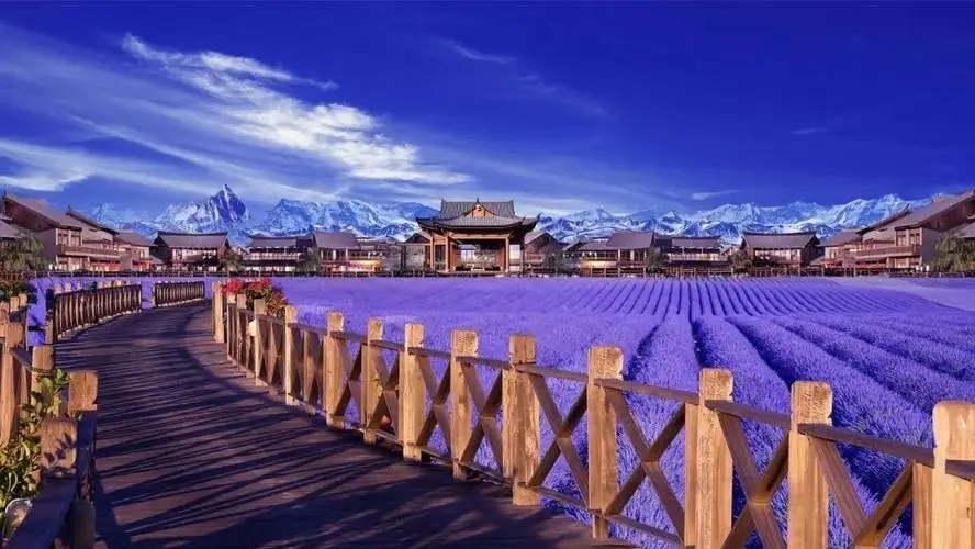 四大驅動力推動新文旅時代來臨