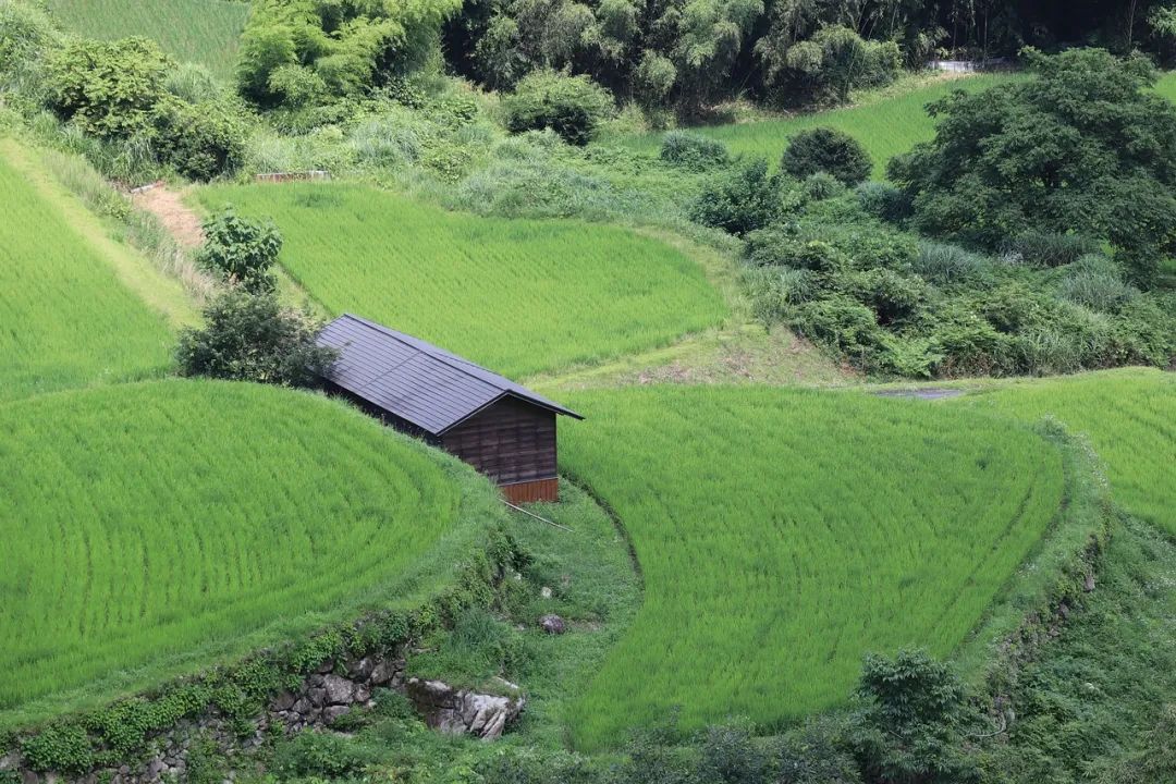 當(dāng)前鄉(xiāng)村旅游發(fā)展與鄉(xiāng)村振興實施的幾個問題——以日本的發(fā)展為例