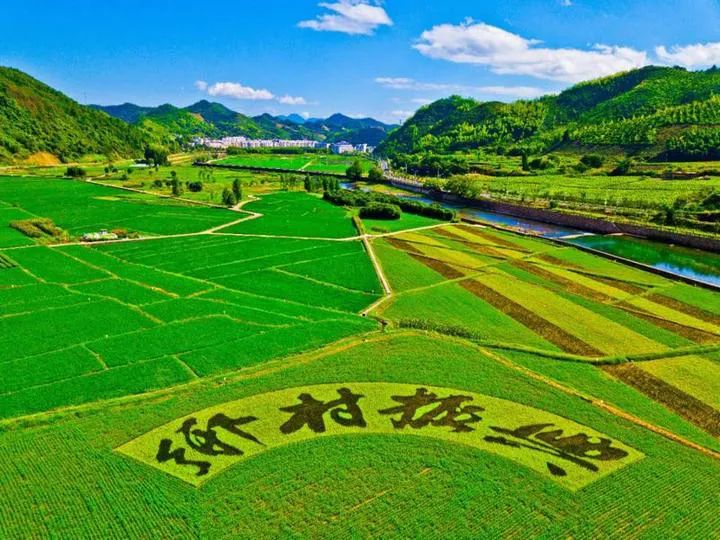 文旅產業全面下沉市場，文旅拼多多時代來臨