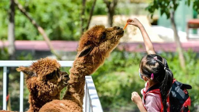 勢能飆升的文旅思維，如何締造商業消費新主場？
