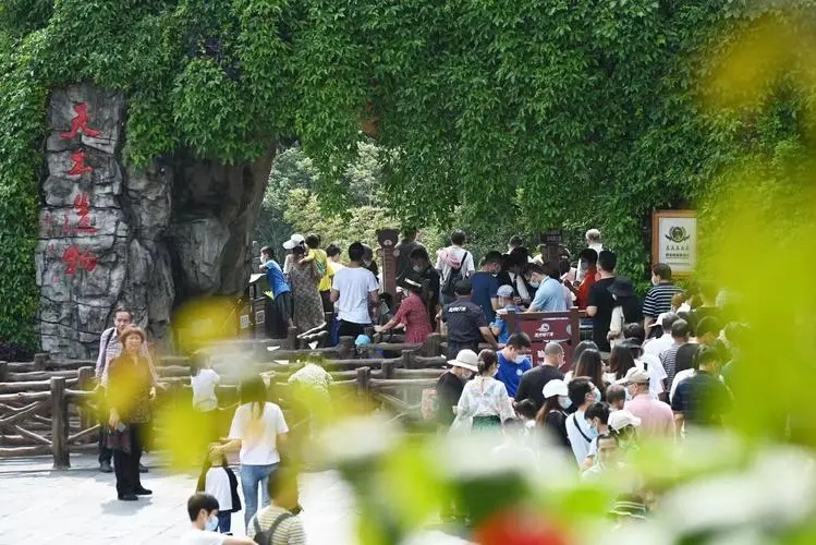 2024年一季度中國旅游市場分析報告