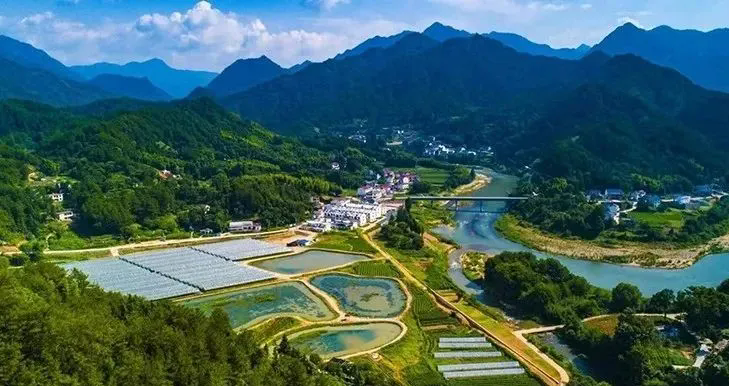 位置普通、資源普通、經濟普通，這樣的鄉村該如何振興？