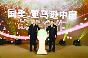 國美試水電商“店中店” “美亞”組合能走多遠