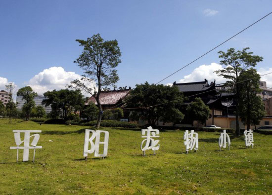 平陽(yáng)水頭鎮(zhèn)打造寵物小鎮(zhèn)