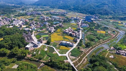 關于鄉村振興戰略的政策支持