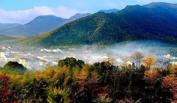 森林特色小鎮之爭：不僅有高顏值，還要有高業績