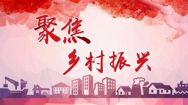文旅人如何讀懂《鄉村振興促進法》？