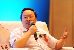 飆馬中國商業地產顧問機構首席策劃師何其琛