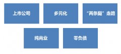 以恒隆業(yè)績(jī)?yōu)槔斀馄渖虡I(yè)開(kāi)發(fā)與資本運(yùn)作之道