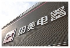 國美聯姻亞馬遜中國 能否改變左右手互博的命運？