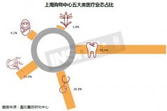 盈石數(shù)據(jù)帶你揭秘：購物中心招商醫(yī)療的那點事兒
