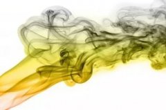 優雅還是狂野 品牌如何利用香氣撩撥消費者情緒？