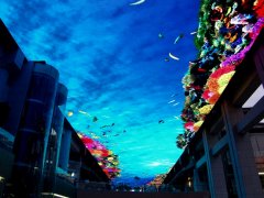 身價(jià)過億的天幕 如何成為實(shí)體商業(yè)的“客流磁鐵”？