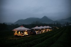 一個吃喝玩樂的項目 怎么就能拿到阿里的投資？