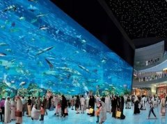 商業市場井噴式增長 “海洋館+購物中心”模式備受矚目