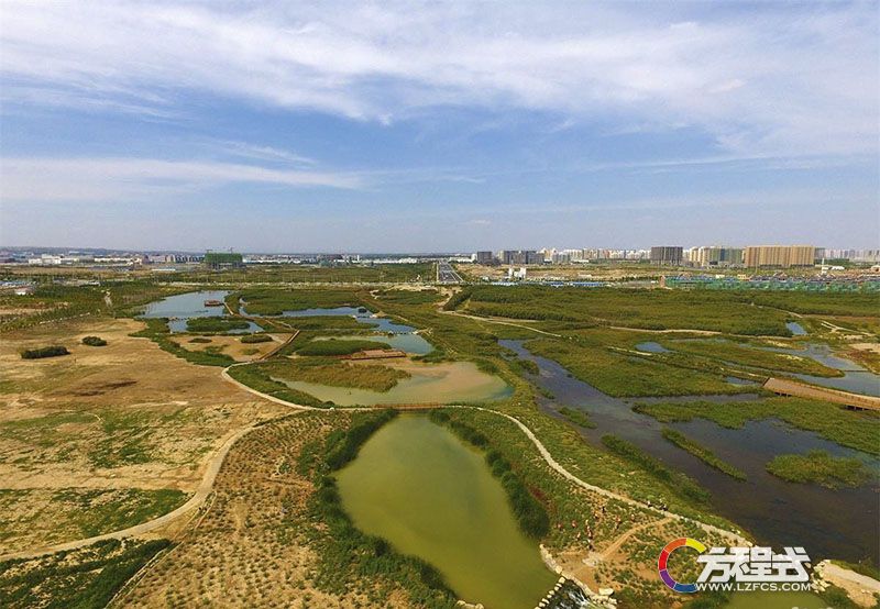 蘭州新區秦王川實地.jpg