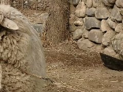 避免商業地產的“蝴蝶效應”，請務必把握7個細節