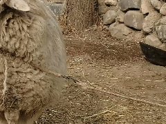 日本購物中心極注重差異化