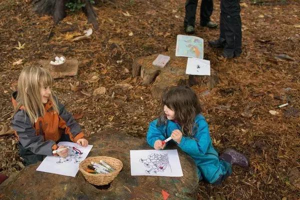 年收費19 .8萬的“森林幼兒園”運營需要注意什么呢？
