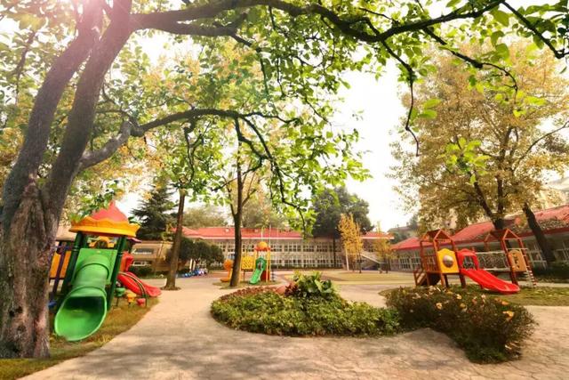 年收費19 .8萬的“森林幼兒園”運營需要注意什么呢？