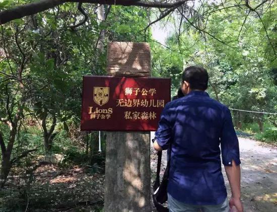 年收費19 .8萬的“森林幼兒園”運營需要注意什么呢？