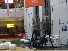 通用航空小鎮(zhèn)的發(fā)展模式和案例分析