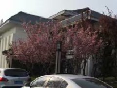 商業地產：唯不斷求新創意，方可永保“青春”