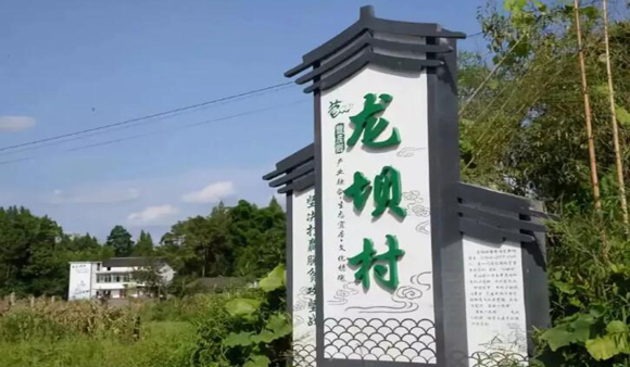 營山縣龍壩村：知青文化特色小鎮