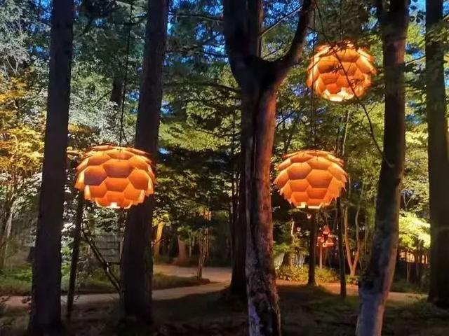 pȣ҂lȼٵײģ