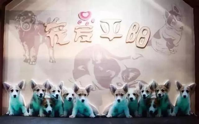 特色小鎮十大開發類型及經典案例解讀