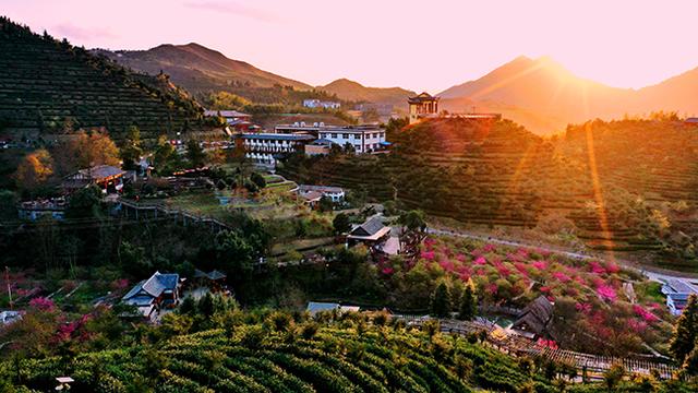 虔心小鎮(zhèn)：茶旅結(jié)合的生態(tài)旅游特色小鎮(zhèn)
