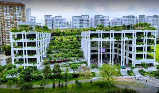 社區商業賽道擁擠，如何獲取持久勢能？