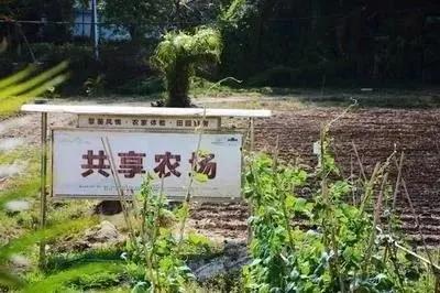 共享農場全解讀
