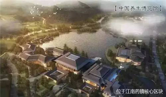 從成功案例看中醫(yī)藥小鎮(zhèn)產(chǎn)業(yè)規(guī)劃與發(fā)展路徑