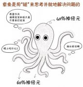 陷入窘境的購物商場，邊緣計算能救嗎？