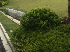 產業鏈“鏈長制”：為啥對招商引資如此重要？