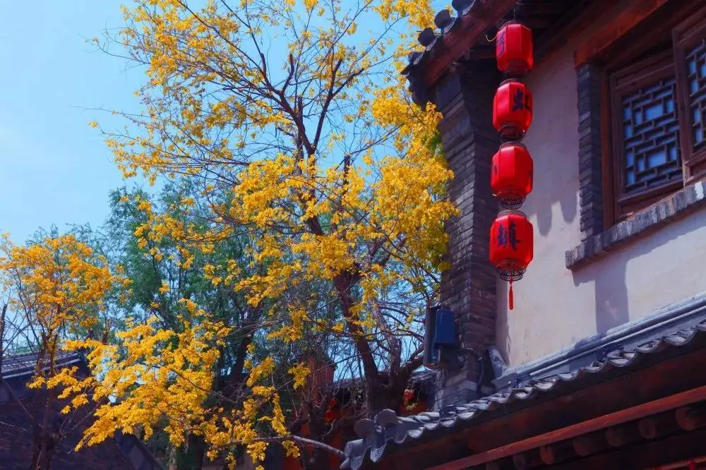 或藏于山間，或隱于海邊，這6個特色小鎮(zhèn)藏著不一樣的煙火人間