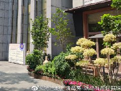“十一”樓市平淡中分化，返鄉(xiāng)置業(yè)支撐三四線好于預(yù)期