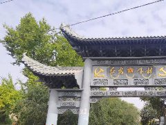 「提速革命」的背后，品牌靠什么變革？